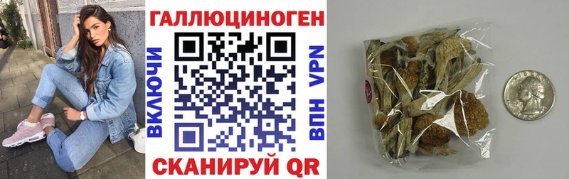 хочу   Зеленогорск  Псилоцибиновые грибы Cubensis 