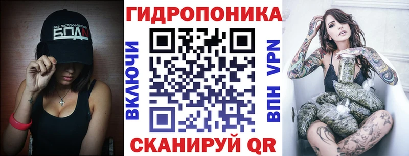 Бошки марихуана индика  Зеленогорск 